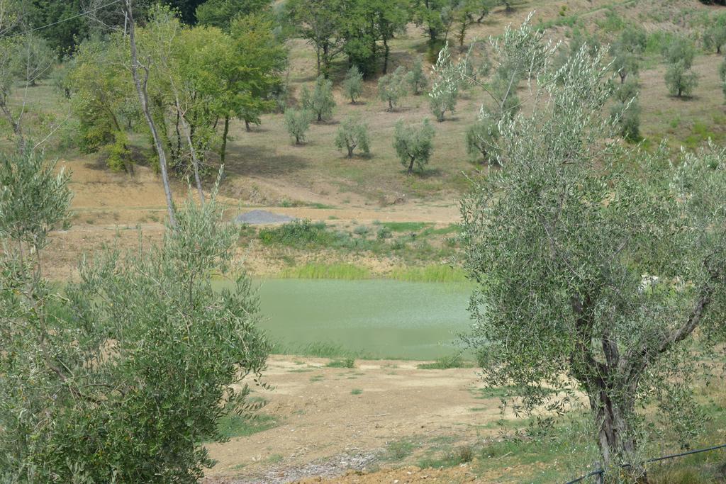 Podere Delle Fanciulle Pistoia Zewnętrze zdjęcie