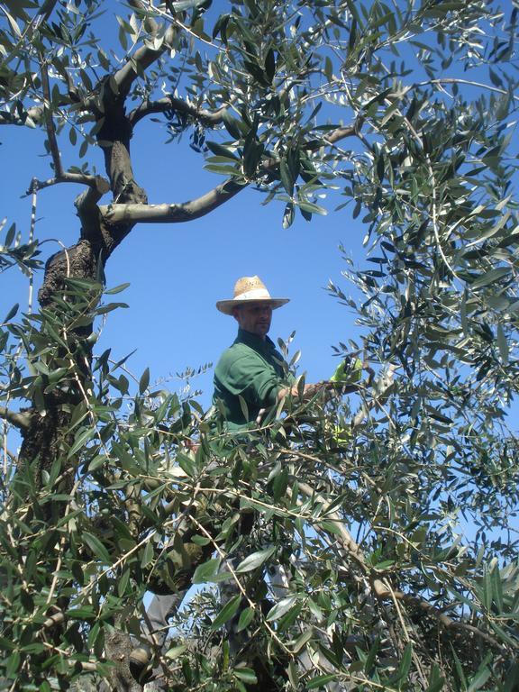 Podere Delle Fanciulle Pistoia Zewnętrze zdjęcie