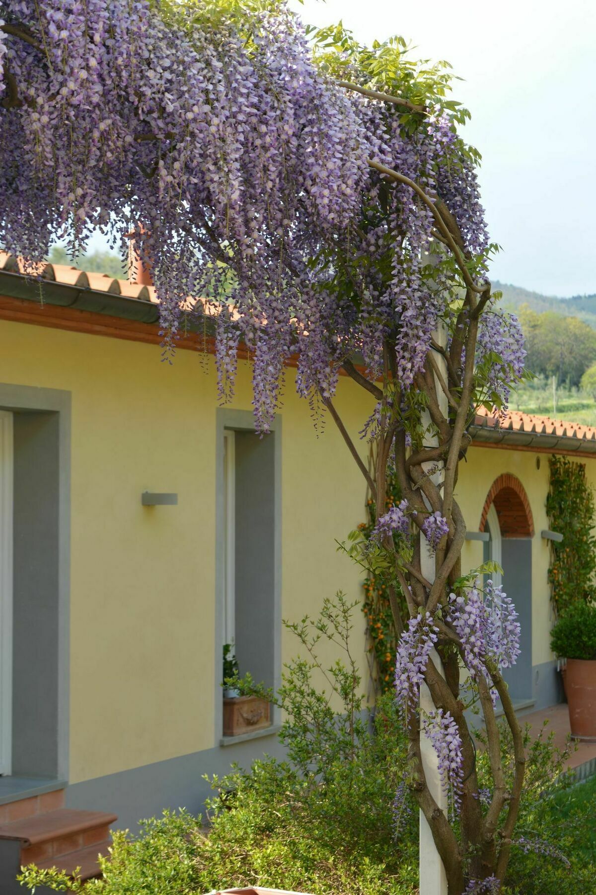 Podere Delle Fanciulle Pistoia Zewnętrze zdjęcie