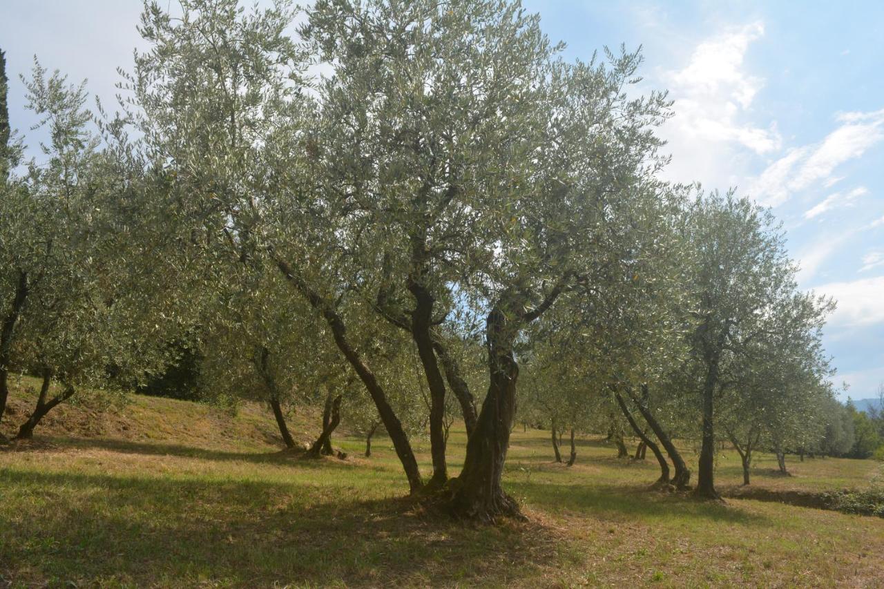 Podere Delle Fanciulle Pistoia Zewnętrze zdjęcie